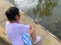 -同銮特种养殖场·龙虾垂钓