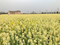 -中国天府农业博览园