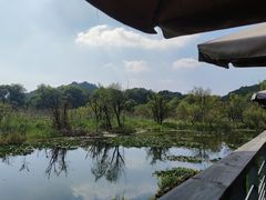 -西湖风景区-江洋畈生态公园