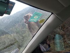 -西岭雪山大飞水景区