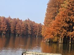 -尚湖风景区