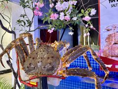 -驻海渔市(置信店)