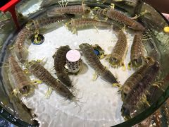 -强记海鲜·大排档(蛇口新街店)