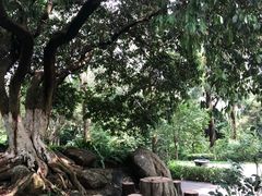 -玉树公园