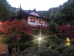 景观位-十八棵（老龙井）御茶园(老龙井店)