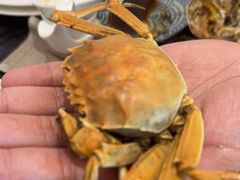 -东方红海鲜百汇(国际大厦店)