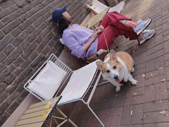 -大象厨房(重庆道店)