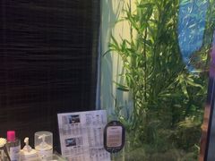 -上足·影院足道·SPA(红岭店)