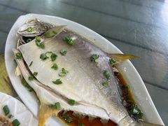 -七鲜渔港美食餐厅(巽寮湾海景店)