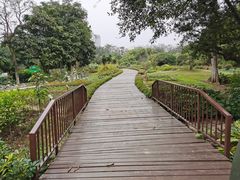 -广西壮族自治区药用植物园