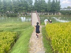 -乌村