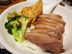 -陈鹏鹏潮汕菜(欢乐海岸 海边景观店)