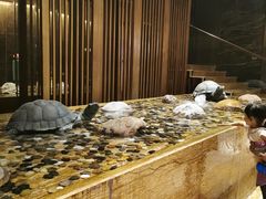 -金汇酒楼(中山东区店)
