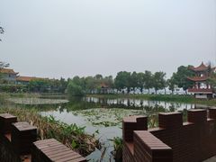 -金银湖国家城市湿地公园
