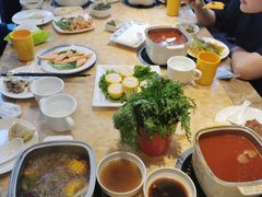 -清真军邺·金富苑肥牛(石坡街旗舰店)