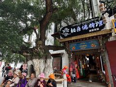 -古树酸奶(八廓南街店)