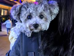 -雅达·阳羡溪山小镇中心