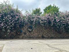 -滆湖低碳生态公园