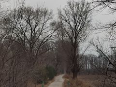 -野鸭湖国家湿地公园