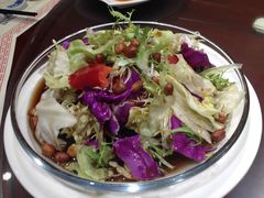 田园大拌菜-松针蔡记蒸饺(花园路店)