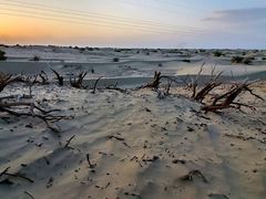 -哈密雅丹大海道景区
