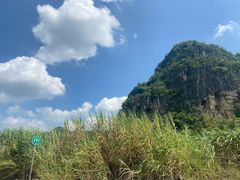 -明仕田园