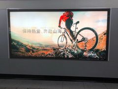 -威尔仕健身(虹桥南丰城店)
