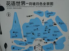 -荷塘月色湿地公园·向阳花洲