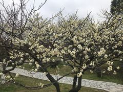 景点-林屋洞景区