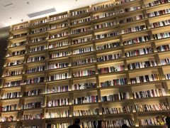 -深影国际影城(学院南路店CGS中国巨幕店)