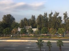 -宝安西湾红树林湿地公园