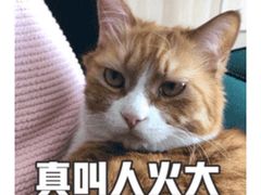 -太原凯宾斯基饭店