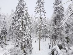-摩围山景区