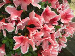 -南通洲际绿博园