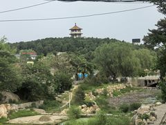 -泰山风景名胜区-虎山公园