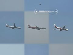-空港花田景区