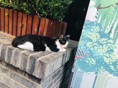 -星巴克臻选(成都宽窄巷子店)