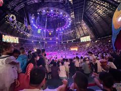 -俄罗斯国家大马戏团