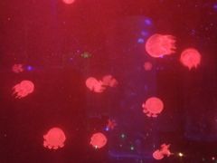 -锦艺城海洋馆