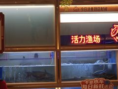 -鱼酷活鱼烤鱼(新世界城店)