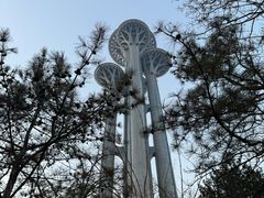 -奥塔空中餐厅
