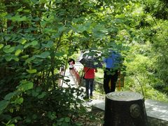 -中山市树木园