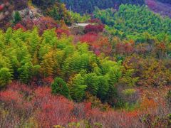-四明山国家森林公园