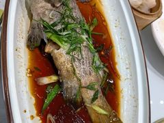 -春满人间酒楼(园岭中路店)