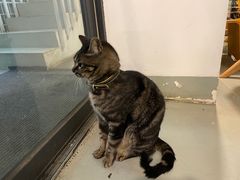 -唐咖精品咖啡(大理古城手冲店)