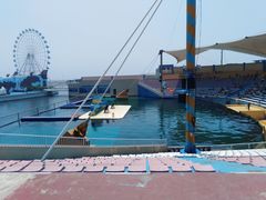 -秦皇岛乐岛海洋王国