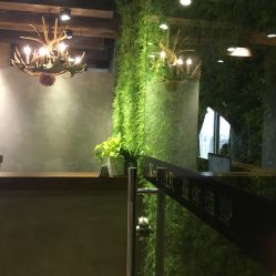 点击看大图 -V-STAR威斯达•高级私人定制