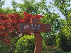 -自然谷恐龙园