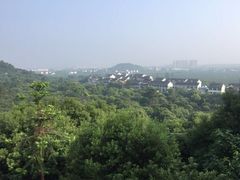 -云河农家乐饭店(福禄缘树山店)