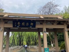 -柳浪闻莺公园